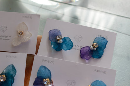 Hydrangea Wing No.141- Titanium Pierce(ピアス）