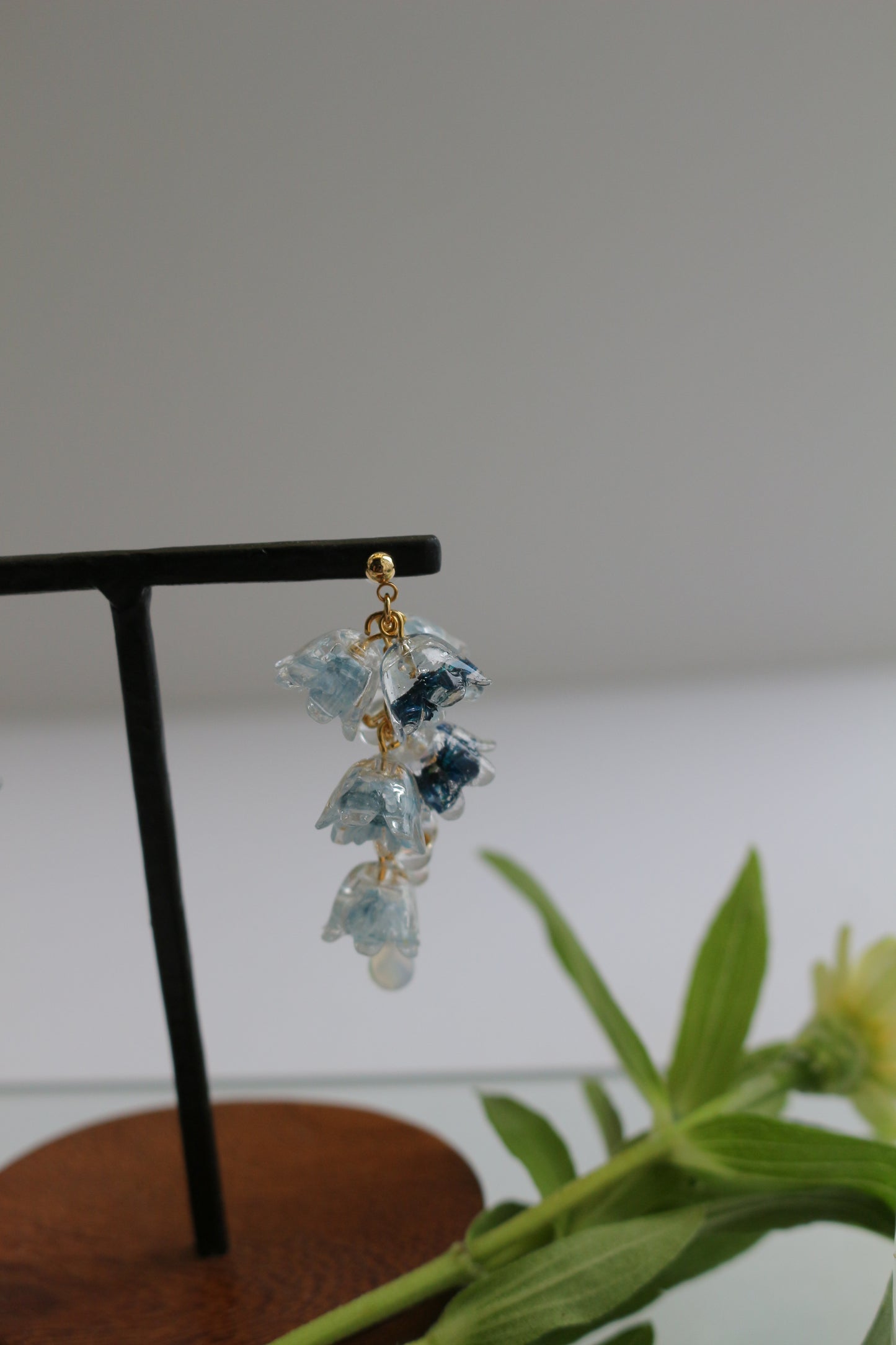 Clear Autumn Color Collection 2025 - No.4