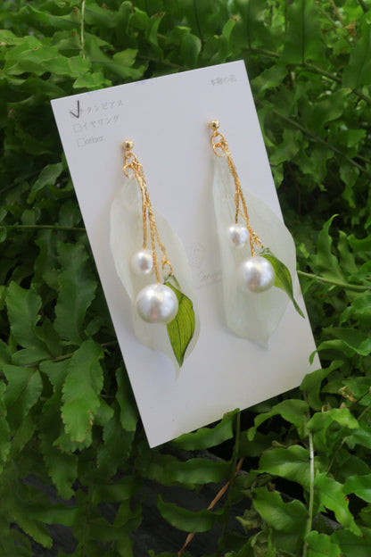 Yuri Lily No.5-  Titanium Pierce