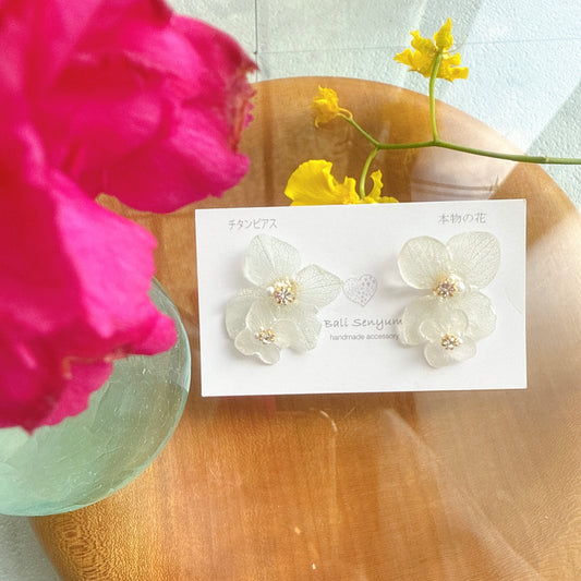 Limited Item Fes Earrings - Titanium Pierce チタンピアス No.29