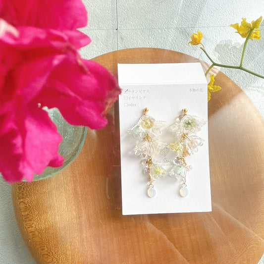 Limited Item Fes Earrings - Titanium Pierce チタンピアス No.16