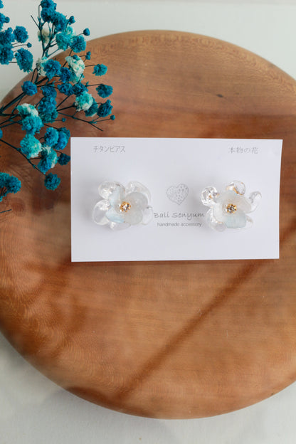 Limited Item Fes Earrings - チタンピアス Titanium Pierce  No.29〜32