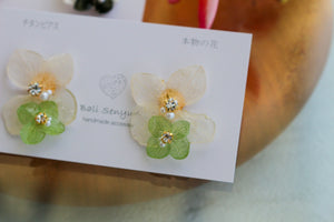 Paired Hydrangea No.10 -  Titanium Pierce(ピアス）Limited item