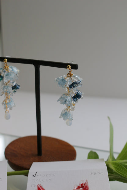 Clear Autumn Color Collection 2025 - No.4
