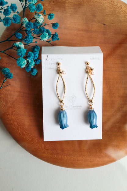 Limited Item Fes Earrings - チタンピアス Titanium Pierce  No.1〜4