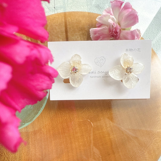 Limited Item Fes Earrings - Clip-On イヤリング No.9