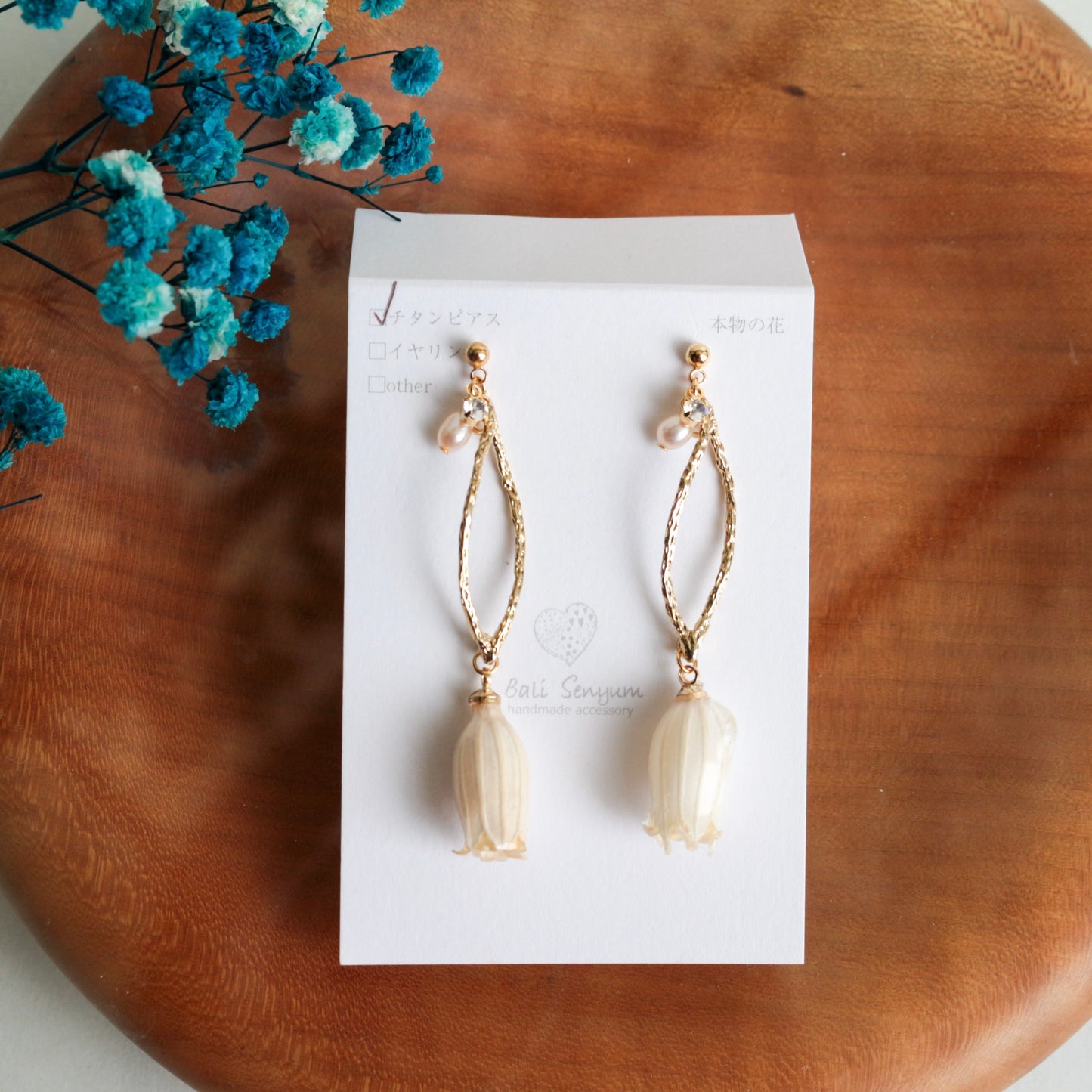 Limited Item Fes Earrings - チタンピアス Titanium Pierce  No.1〜4