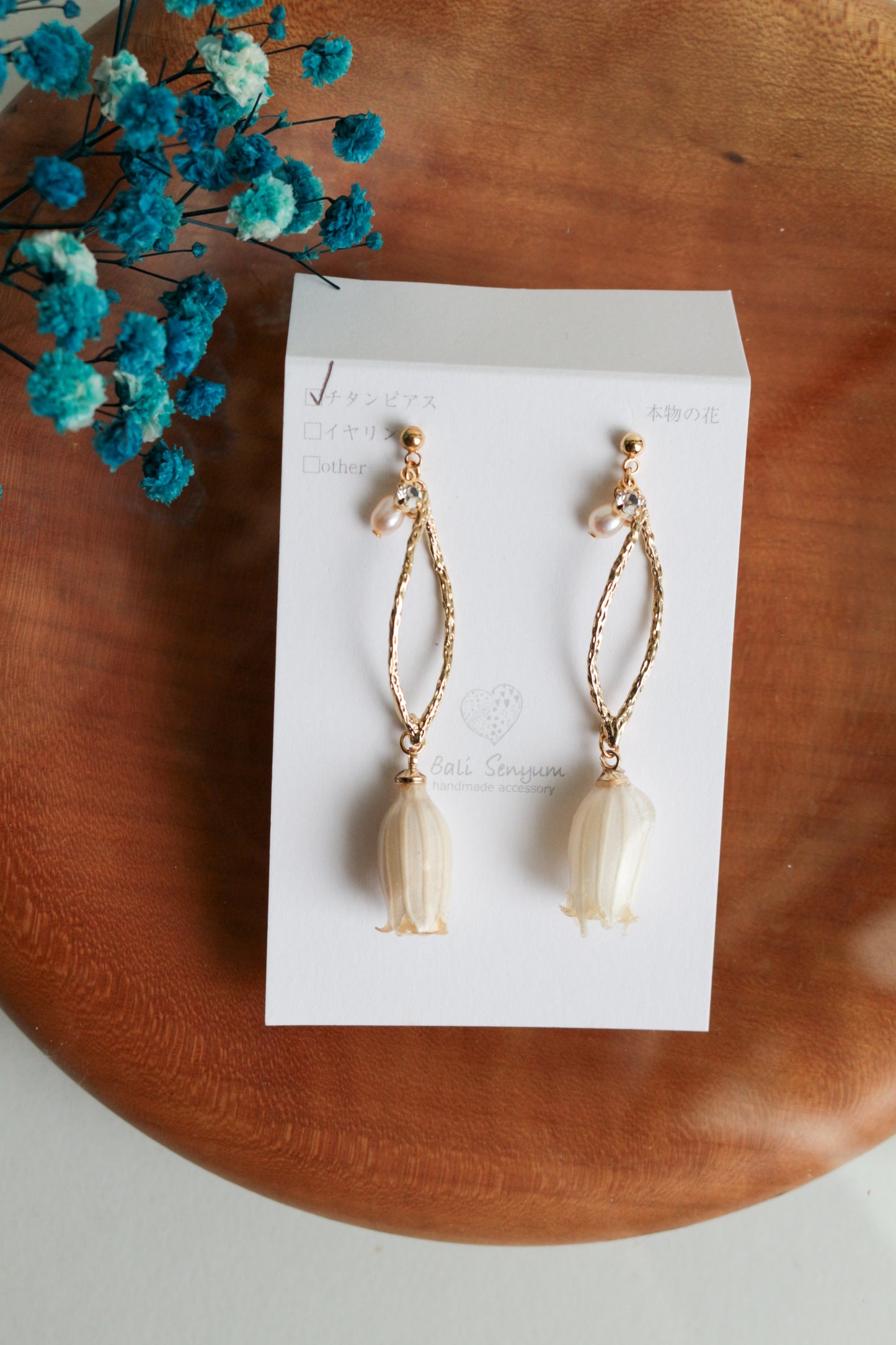 Limited Item Fes Earrings - チタンピアス Titanium Pierce  No.1〜4