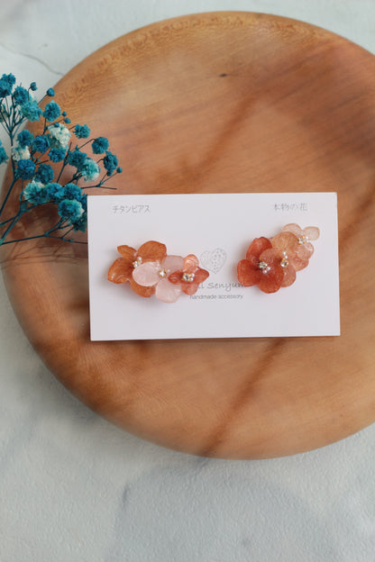 Limited Item Fes Earrings - チタンピアス Titanium Pierce  No.53〜56