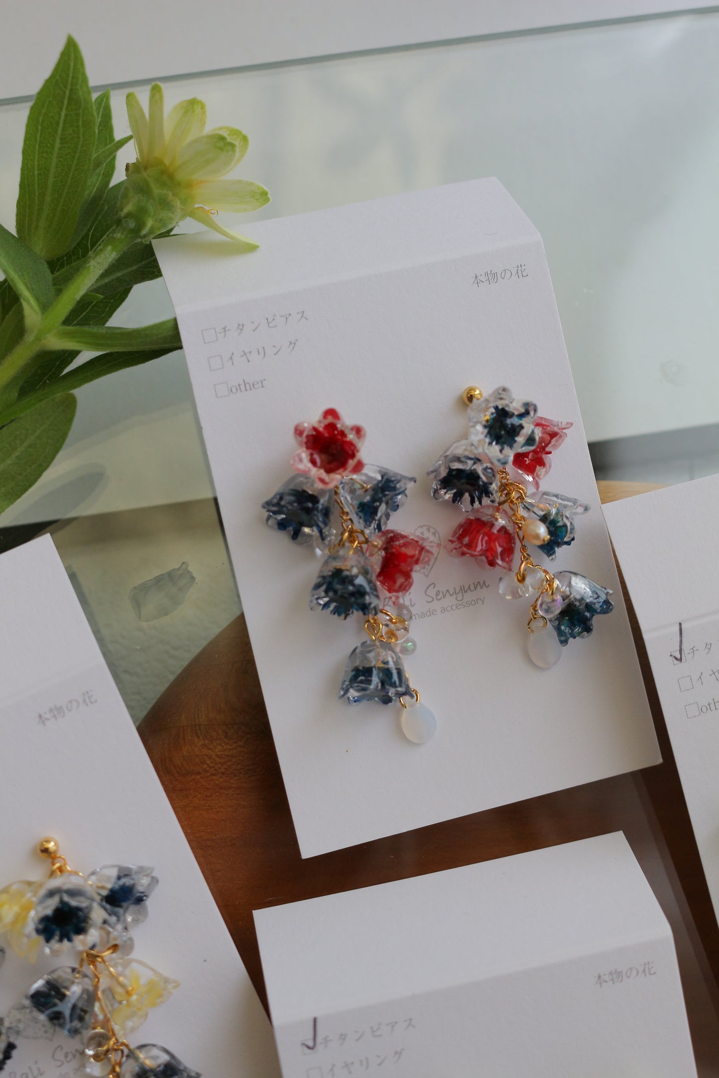 Clear Autumn Color Collection 2025 - No.4