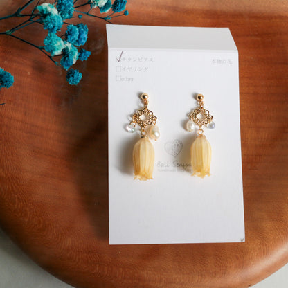 Limited Item Fes Earrings - チタンピアス Titanium Pierce  No.17〜20