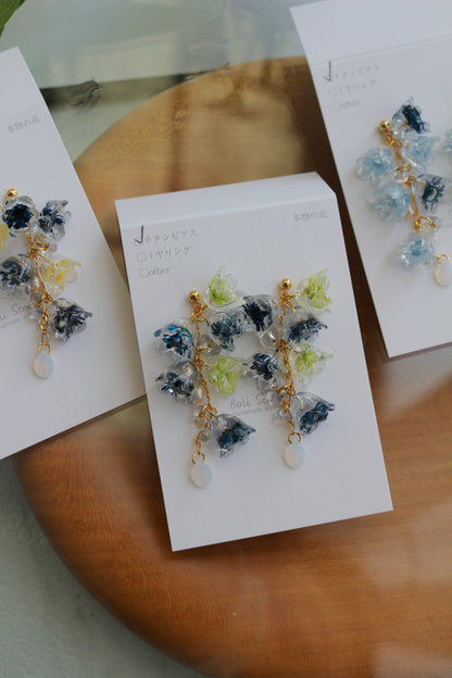 Clear Autumn Color Collection 2025 - No.4