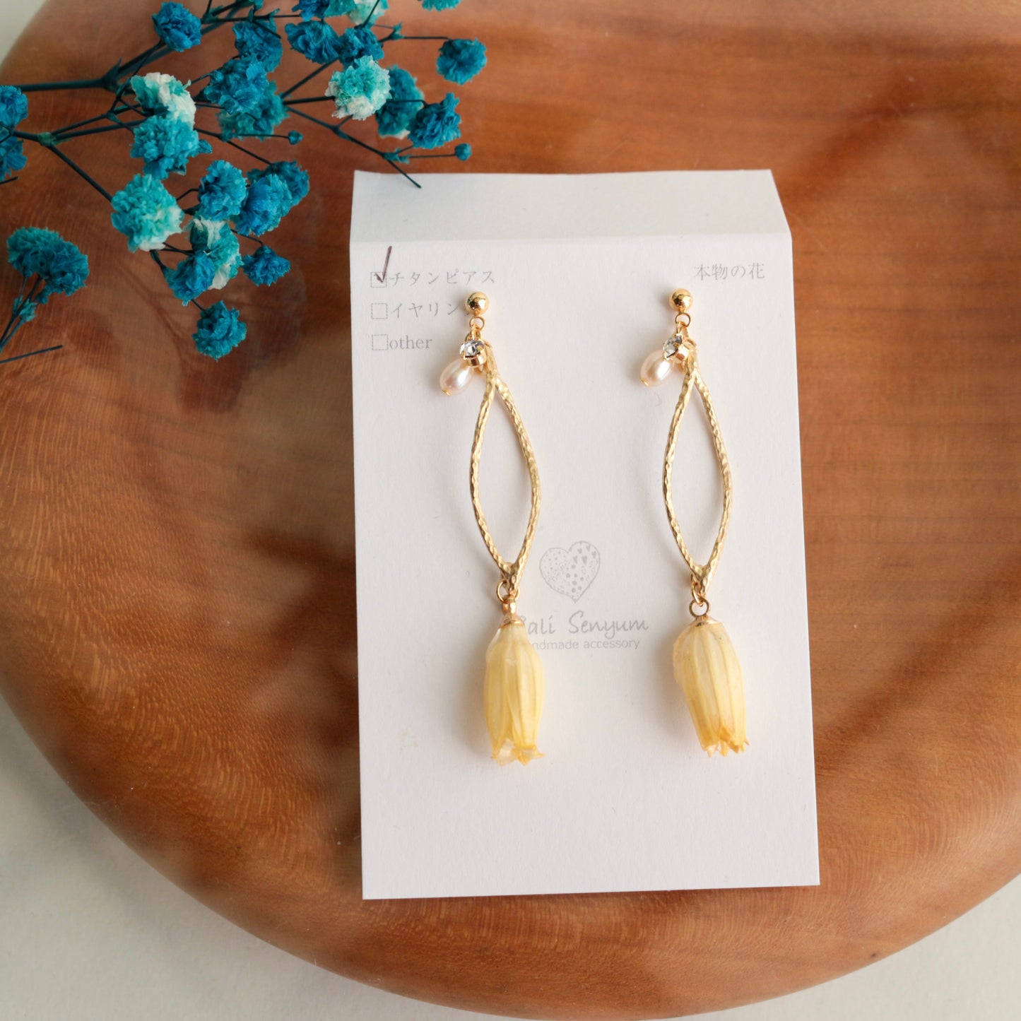 Limited Item Fes Earrings - チタンピアス Titanium Pierce  No.21〜24