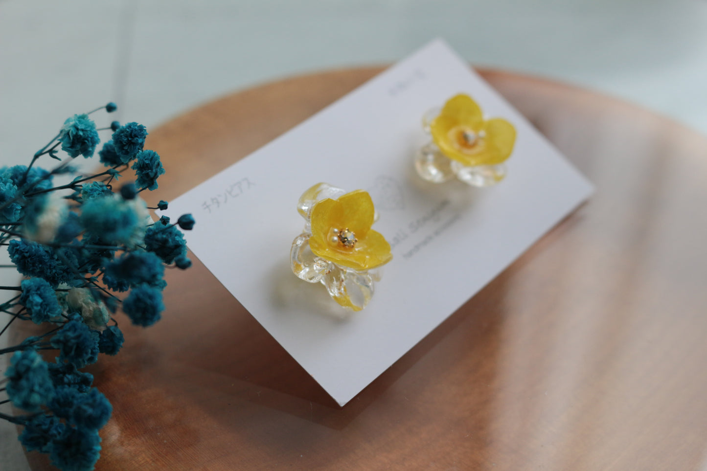 Limited Item Fes Earrings - チタンピアス Titanium Pierce  No.41〜44