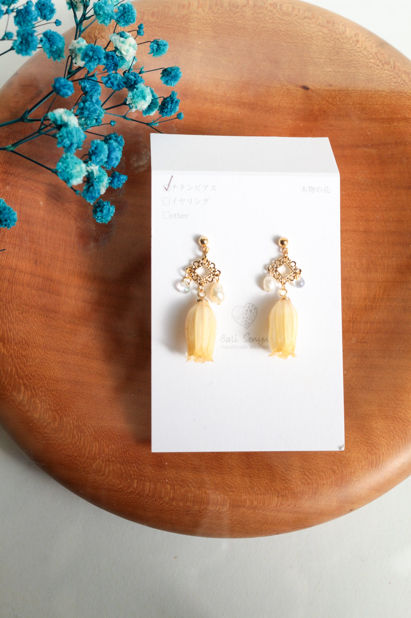 Limited Item Fes Earrings - チタンピアス Titanium Pierce  No.17〜20