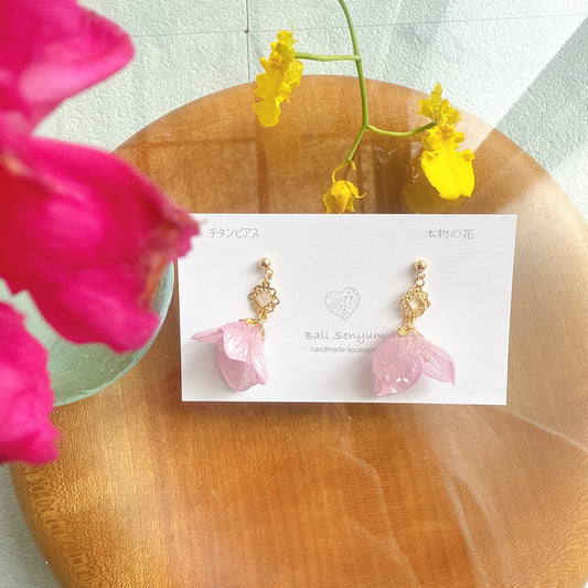 Limited Item Fes Earrings - Titanium Pierce チタンピアス No.1