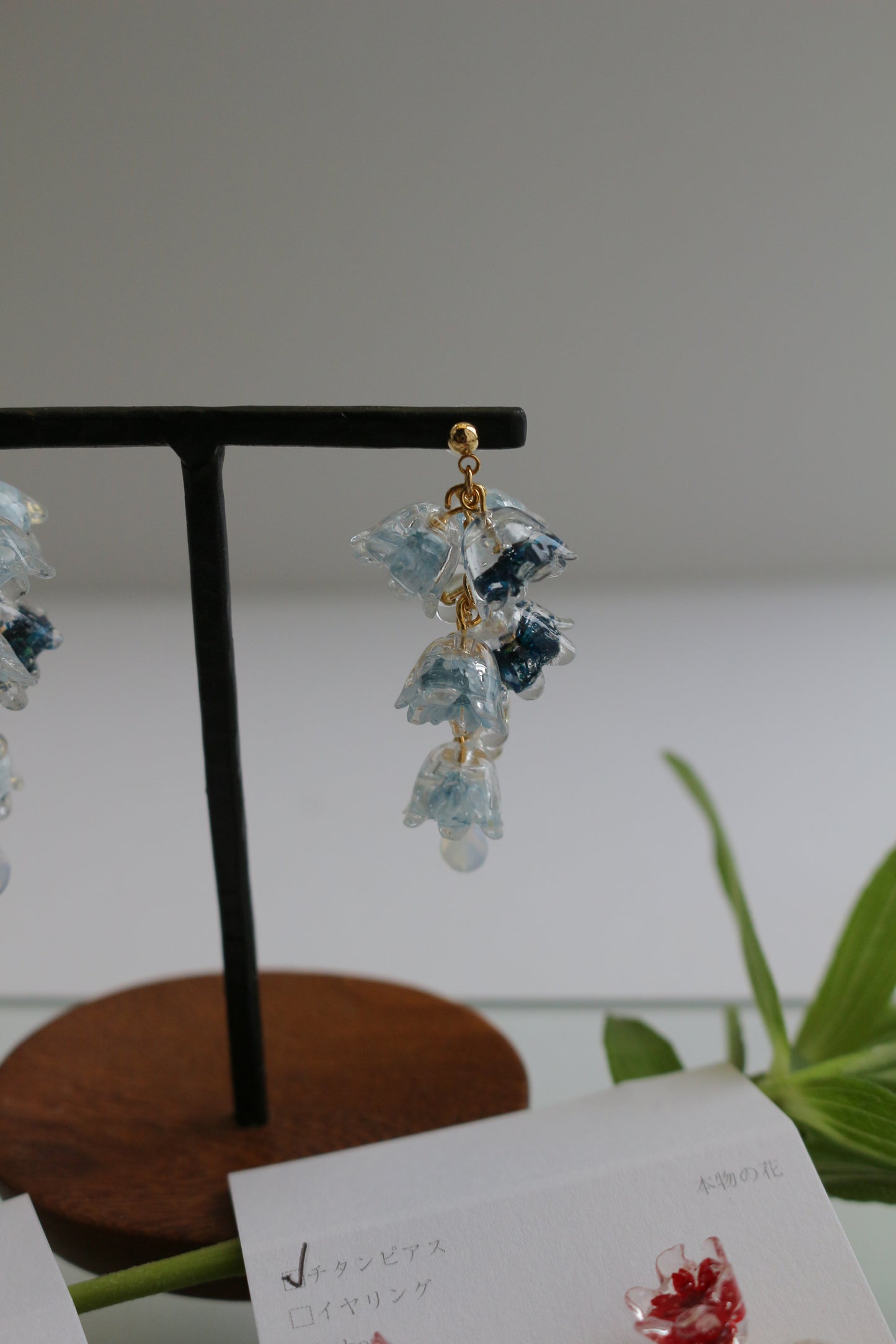 Clear Autumn Color Collection 2025 - No.4
