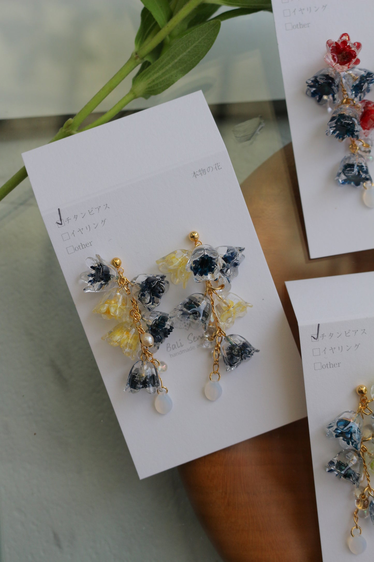 Clear Autumn Color Collection 2025 - No.4