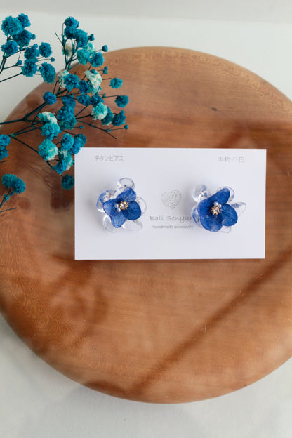 Limited Item Fes Earrings - チタンピアス Titanium Pierce  No.25〜28