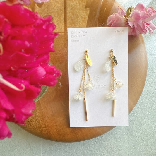 Limited Item Fes Earrings - Titanium Pierce チタンピアス No.39