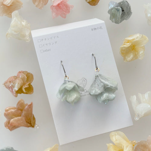 Hydrangea Kashiwaba Collection Earring No.2 - Time Limited