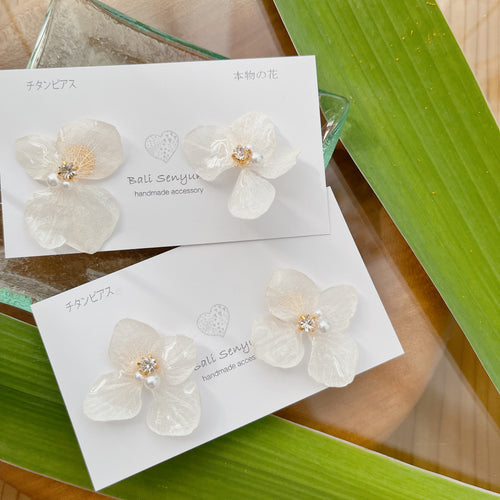 White Hydrangea Earrings　-  Titanium pierce (ピアス）