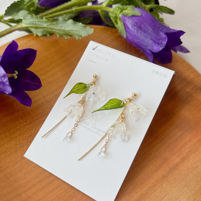 ”Lily of the Valley” SUZURAN