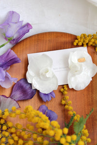 White Moth Orchid Petal Earrings