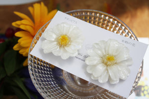 White Zinnia Flower No.8