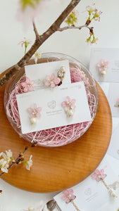 Someiyoshino Sakura Gift Set - No.1 Pink  2023