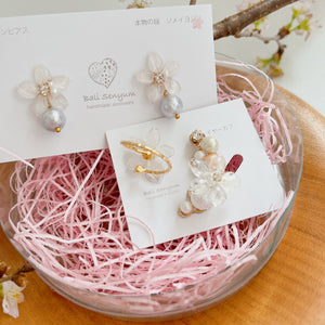 Someiyoshino Sakura Gift Set - No.1 White  2023